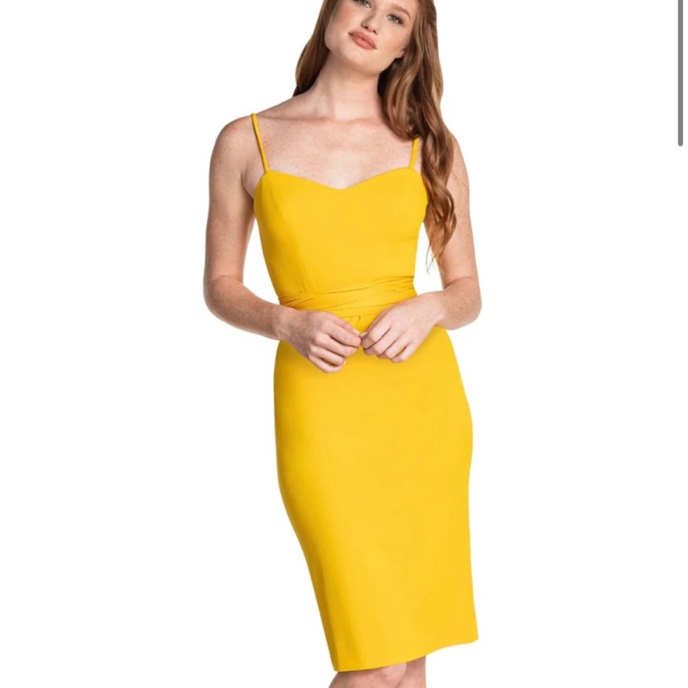 Dress the Population Veronique Dress